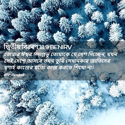 Picture 02 - দ্বিতীয় বিৱৰণ 18:9 BENIRV - তোমার ঈশ্বর - Bible Verse Picture