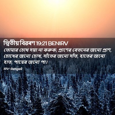 Picture 02 - দ্বিতীয় বিৱৰণ 19:21 BENIRV - তোমার চোখ দয়া না - Bible Verse Picture