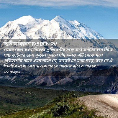 Picture 02 - দ্বিতীয় বিৱৰণ 19:5 BENIRV - যেমন কেউ যখন নিজের - Bible Verse Picture