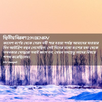 Picture 02 - দ্বিতীয় বিৱৰণ 2:14 BENIRV - কাদেশ বর্ণেয় - Bible Verse Picture