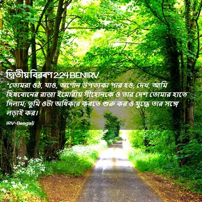 Picture 02 - দ্বিতীয় বিৱৰণ 2:24 BENIRV - “তোমরা ওঠ, যাও, - Bible Verse Picture