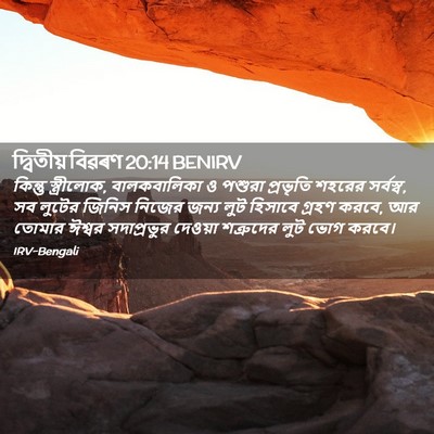 Picture 02 - দ্বিতীয় বিৱৰণ 20:14 BENIRV - কিন্তু স্ত্রীলোক, - Bible Verse Picture