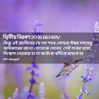 Picture 02 - দ্বিতীয় বিৱৰণ 20:16 BENIRV - কিন্তু এই জাতিদের - Bible Verse Picture