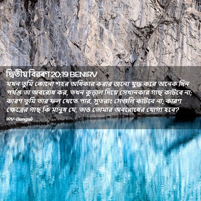 Picture 02 - দ্বিতীয় বিৱৰণ 20:19 BENIRV - যখন তুমি কোনো শহর - Bible Verse Picture