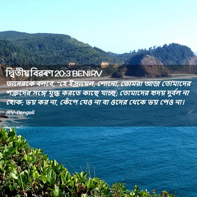Picture 02 - দ্বিতীয় বিৱৰণ 20:3 BENIRV - তাদেরকে বলবে, “হে - Bible Verse Picture