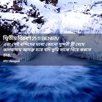 Picture 02 - দ্বিতীয় বিৱৰণ 21:11 BENIRV - এবং সেই বন্দিদের - Bible Verse Picture