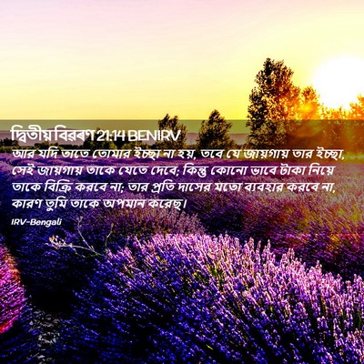 Picture 02 - দ্বিতীয় বিৱৰণ 21:14 BENIRV - আর যদি তাতে তোমার - Bible Verse Picture