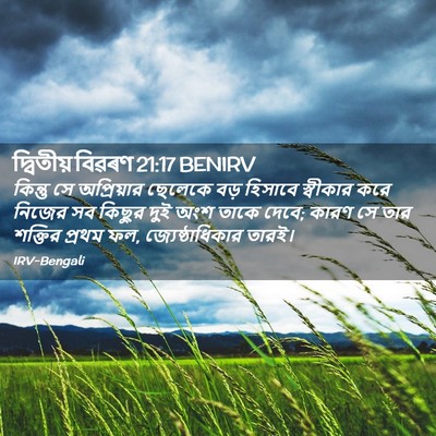 Picture 02 - দ্বিতীয় বিৱৰণ 21:17 BENIRV - কিন্তু সে - Bible Verse Picture