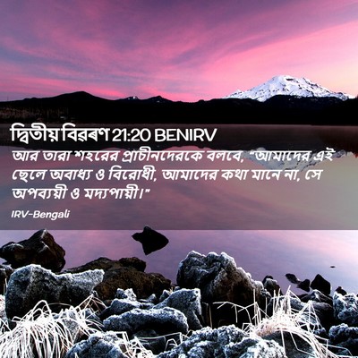 Picture 02 - দ্বিতীয় বিৱৰণ 21:20 BENIRV - আর তারা শহরের - Bible Verse Picture