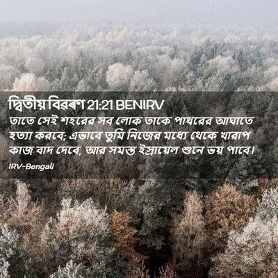 Picture 02 - দ্বিতীয় বিৱৰণ 21:21 BENIRV - তাতে সেই শহরের সব - Bible Verse Picture