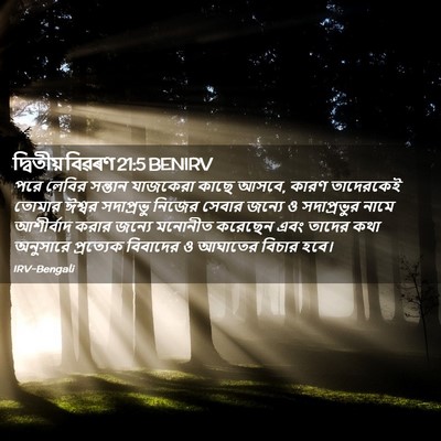 Picture 02 - দ্বিতীয় বিৱৰণ 21:5 BENIRV - পরে লেবির সন্তান - Bible Verse Picture