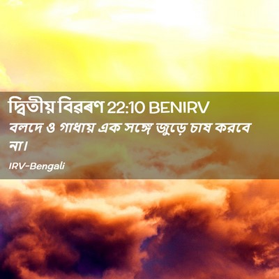 Picture 02 - দ্বিতীয় বিৱৰণ 22:10 BENIRV - বলদে ও গাধায় এক - Bible Verse Picture