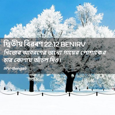 Picture 02 - দ্বিতীয় বিৱৰণ 22:12 BENIRV - নিজের আবরণের - Bible Verse Picture