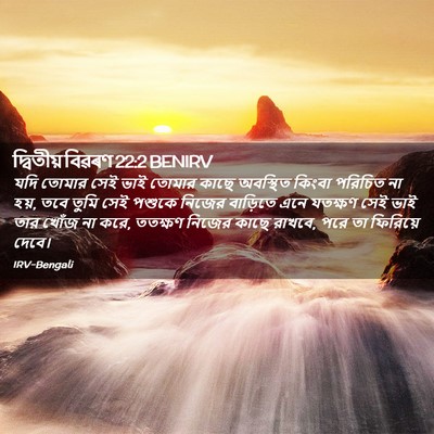 Picture 02 - দ্বিতীয় বিৱৰণ 22:2 BENIRV - যদি তোমার সেই ভাই - Bible Verse Picture