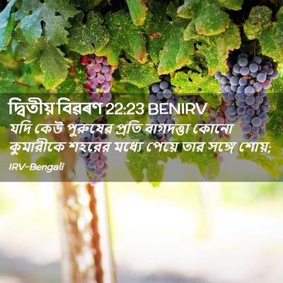 Picture 02 - দ্বিতীয় বিৱৰণ 22:23 BENIRV - যদি কেউ পুরুষের - Bible Verse Picture