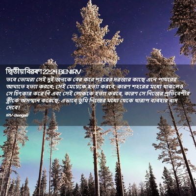 Picture 02 - দ্বিতীয় বিৱৰণ 22:24 BENIRV - তবে তোমরা সেই দুই - Bible Verse Picture