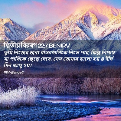 Picture 02 - দ্বিতীয় বিৱৰণ 22:7 BENIRV - তুমি নিজের জন্য - Bible Verse Picture
