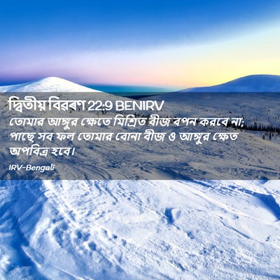 Picture 02 - দ্বিতীয় বিৱৰণ 22:9 BENIRV - তোমার আঙ্গুর - Bible Verse Picture