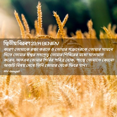 Picture 02 - দ্বিতীয় বিৱৰণ 23:14 BENIRV - কারণ তোমাকে রক্ষা - Bible Verse Picture
