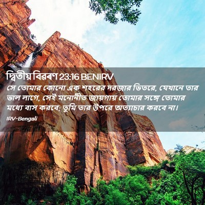 Picture 02 - দ্বিতীয় বিৱৰণ 23:16 BENIRV - সে তোমার কোনো এক - Bible Verse Picture