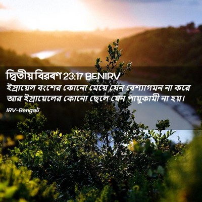 Picture 02 - দ্বিতীয় বিৱৰণ 23:17 BENIRV - ইস্রায়েল বংশের - Bible Verse Picture