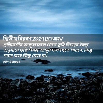 Picture 02 - দ্বিতীয় বিৱৰণ 23:24 BENIRV - প্রতিবেশীর - Bible Verse Picture