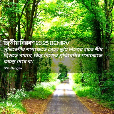 Picture 02 - দ্বিতীয় বিৱৰণ 23:25 BENIRV - প্রতিবেশীর - Bible Verse Picture