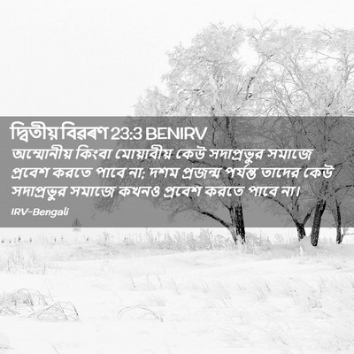 Picture 02 - দ্বিতীয় বিৱৰণ 23:3 BENIRV - অম্মোনীয় কিংবা - Bible Verse Picture