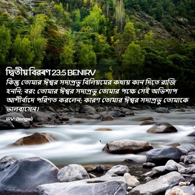 Picture 02 - দ্বিতীয় বিৱৰণ 23:5 BENIRV - কিন্তু তোমার - Bible Verse Picture