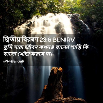 Picture 02 - দ্বিতীয় বিৱৰণ 23:6 BENIRV - তুমি সারা জীবন - Bible Verse Picture