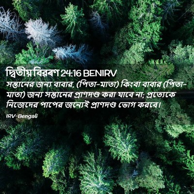 Picture 02 - দ্বিতীয় বিৱৰণ 24:16 BENIRV - সন্তানের জন্য - Bible Verse Picture