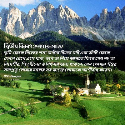 Picture 02 - দ্বিতীয় বিৱৰণ 24:19 BENIRV - তুমি ক্ষেতে নিজের - Bible Verse Picture