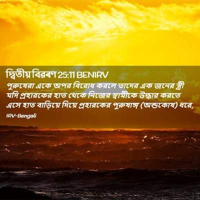 Picture 02 - দ্বিতীয় বিৱৰণ 25:11 BENIRV - পুরুষেরা একে অপর - Bible Verse Picture