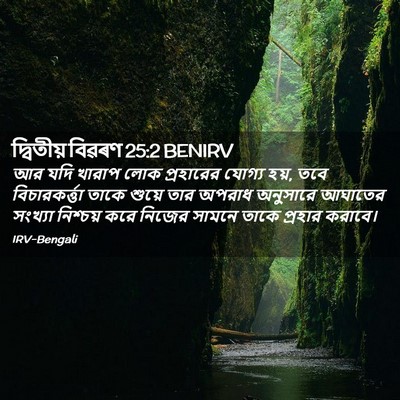 Picture 02 - দ্বিতীয় বিৱৰণ 25:2 BENIRV - আর যদি খারাপ লোক - Bible Verse Picture
