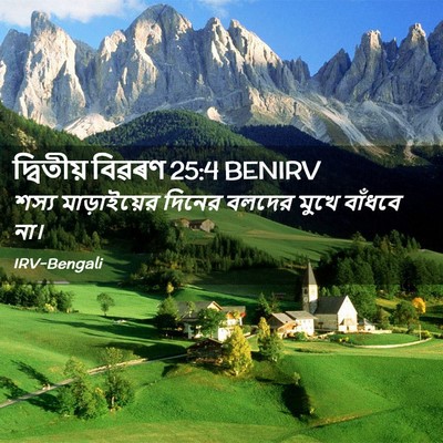 Picture 02 - দ্বিতীয় বিৱৰণ 25:4 BENIRV - শস্য মাড়াইয়ের - Bible Verse Picture