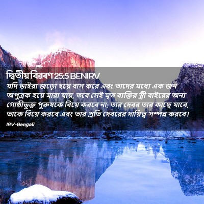 Picture 02 - দ্বিতীয় বিৱৰণ 25:5 BENIRV - যদি ভাইরা জড়ো - Bible Verse Picture