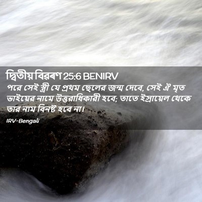 Picture 02 - দ্বিতীয় বিৱৰণ 25:6 BENIRV - পরে সেই স্ত্রী যে - Bible Verse Picture