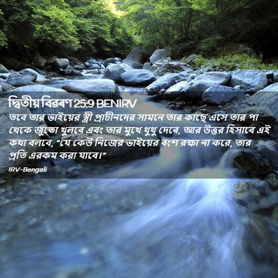 Picture 02 - দ্বিতীয় বিৱৰণ 25:9 BENIRV - তবে তার ভাইয়ের - Bible Verse Picture
