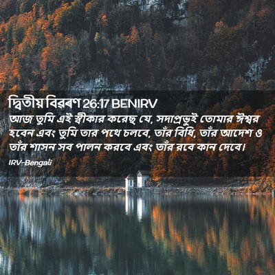 Picture 02 - দ্বিতীয় বিৱৰণ 26:17 BENIRV - আজ তুমি এই স্বীকার - Bible Verse Picture