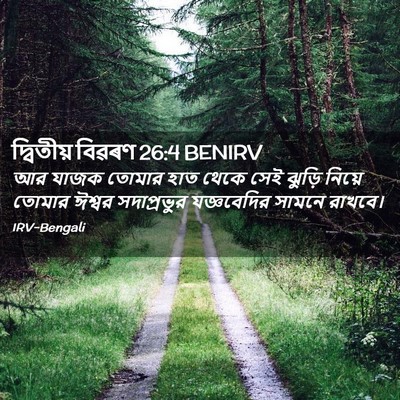 Picture 02 - দ্বিতীয় বিৱৰণ 26:4 BENIRV - আর যাজক তোমার হাত - Bible Verse Picture
