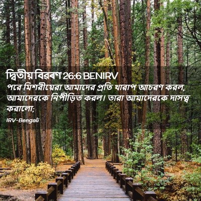 Picture 02 - দ্বিতীয় বিৱৰণ 26:6 BENIRV - পরে মিশরীয়েরা - Bible Verse Picture