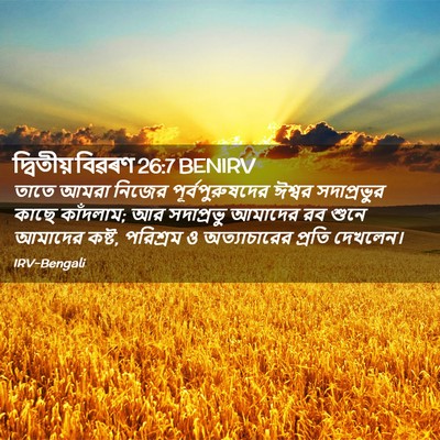 Picture 02 - দ্বিতীয় বিৱৰণ 26:7 BENIRV - তাতে আমরা নিজের - Bible Verse Picture