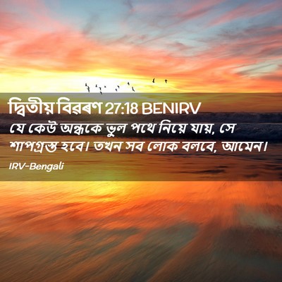 Picture 02 - দ্বিতীয় বিৱৰণ 27:18 BENIRV - যে কেউ অন্ধকে ভুল - Bible Verse Picture