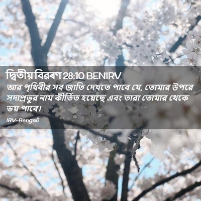 Picture 02 - দ্বিতীয় বিৱৰণ 28:10 BENIRV - আর পৃথিবীর সব জাতি - Bible Verse Picture