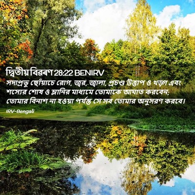 Picture 02 - দ্বিতীয় বিৱৰণ 28:22 BENIRV - সদাপ্রভু ছোঁয়াচে - Bible Verse Picture