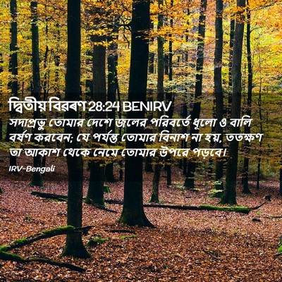 Picture 02 - দ্বিতীয় বিৱৰণ 28:24 BENIRV - সদাপ্রভু তোমার - Bible Verse Picture