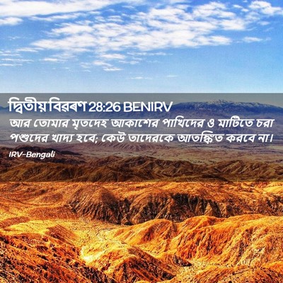 Picture 02 - দ্বিতীয় বিৱৰণ 28:26 BENIRV - আর তোমার মৃতদেহ - Bible Verse Picture