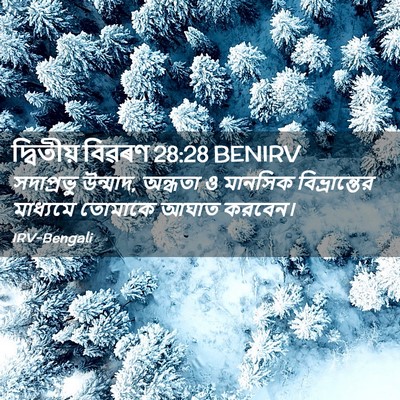 Picture 02 - দ্বিতীয় বিৱৰণ 28:28 BENIRV - সদাপ্রভু উন্মাদ, - Bible Verse Picture