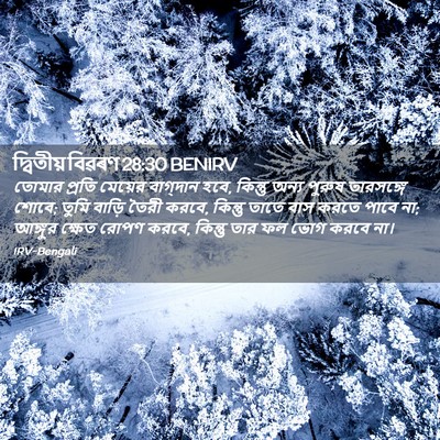 Picture 02 - দ্বিতীয় বিৱৰণ 28:30 BENIRV - তোমার প্রতি - Bible Verse Picture