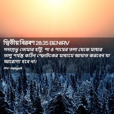 Picture 02 - দ্বিতীয় বিৱৰণ 28:35 BENIRV - সদাপ্রভু তোমার - Bible Verse Picture